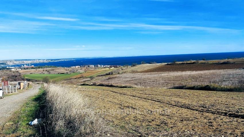 Bargain Plot Of Land With Full Sea, Nature And City Views, Zoned For 20% Two-Story Construction.