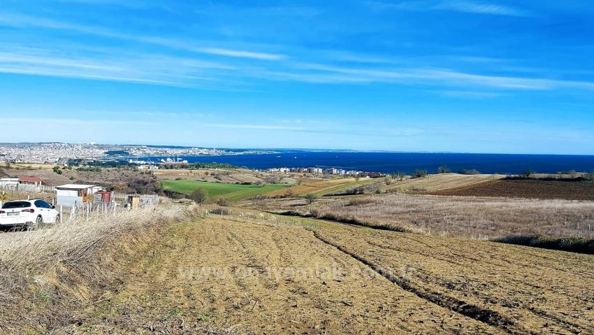 Bargain Plot Of Land With Full Sea, Nature And City Views, Zoned For 20% Two-Story Construction.