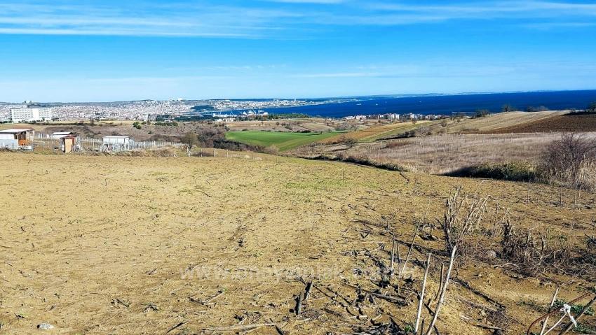 Bargain Plot Of Land With Full Sea, Nature And City Views, Zoned For 20% Two-Story Construction.
