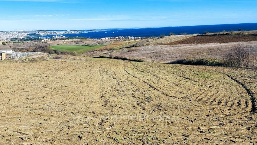 Bargain Plot Of Land With Full Sea, Nature And City Views, Zoned For 20% Two-Story Construction.