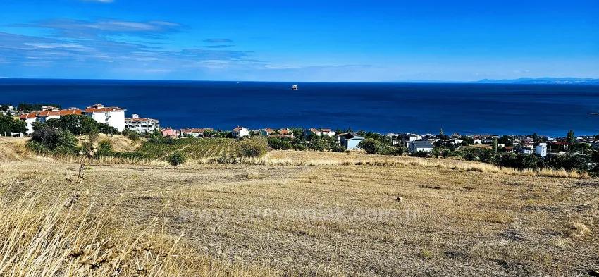 A Prime Plot Of Land Suitable For A Project Of 2 Luxury Villas With Full Sea And Nature Views.