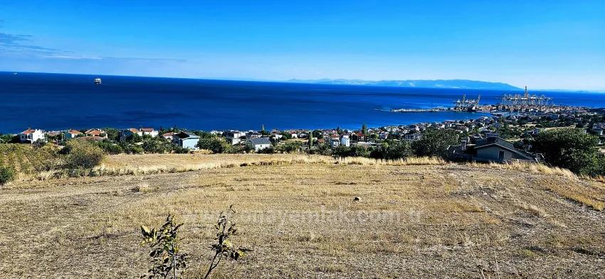 A Prime Plot Of Land Suitable For A Project Of 2 Luxury Villas With Full Sea And Nature Views.