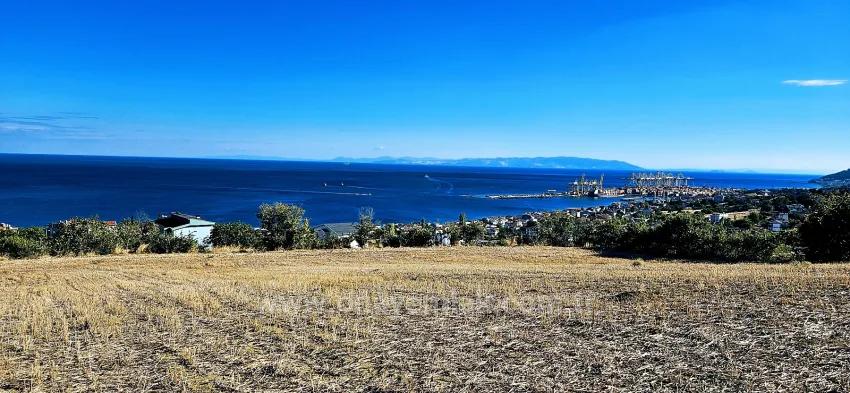 A Prime Plot Of Land Suitable For A Project Of 2 Luxury Villas With Full Sea And Nature Views.