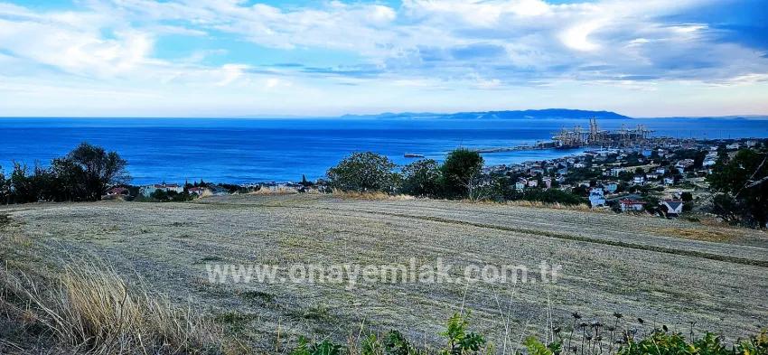 Land For sale in Barbaros Nbh. Süleymanpaşa Kumbağ - Housing Zoned - 528 m²