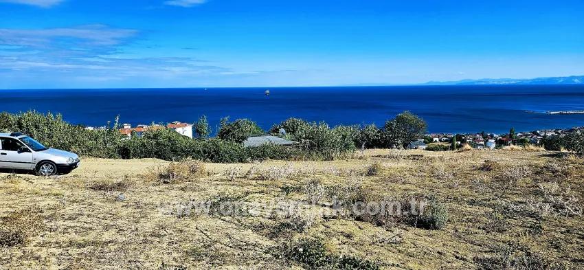 Land For sale in Barbaros Nbh. Süleymanpaşa Kumbağ - Housing Zoned - 2.780 m²