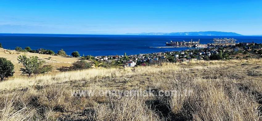 Land For sale in Barbaros Nbh. Süleymanpaşa Kumbağ - Housing Zoned - 530 m²