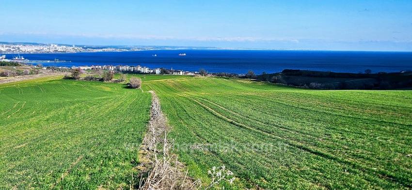 Land With Full Sea And Nature View Suitable For 75 Villa Projects In Tekirdağ Barbarosta