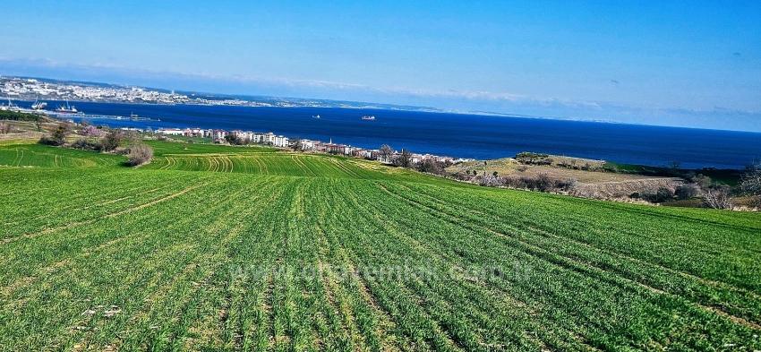Terrain For sale in Barbaros Nbh. Süleymanpaşa Kumbağ - Housing Zoned - 19.533 m²