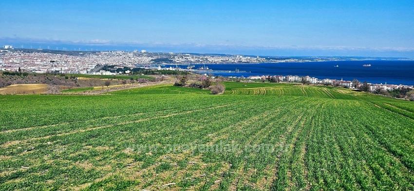 Land With Full Sea And Nature View Suitable For 75 Villa Projects In Tekirdağ Barbarosta