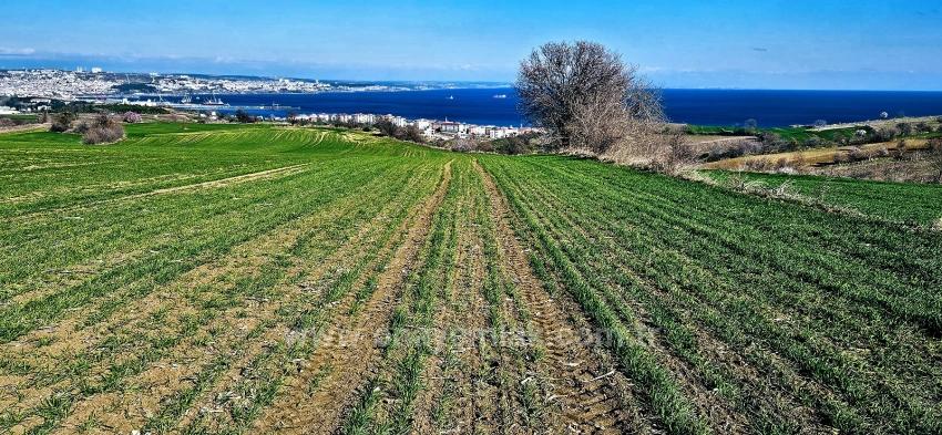 Land With Full Sea And Nature View Suitable For 75 Villa Projects In Tekirdağ Barbarosta