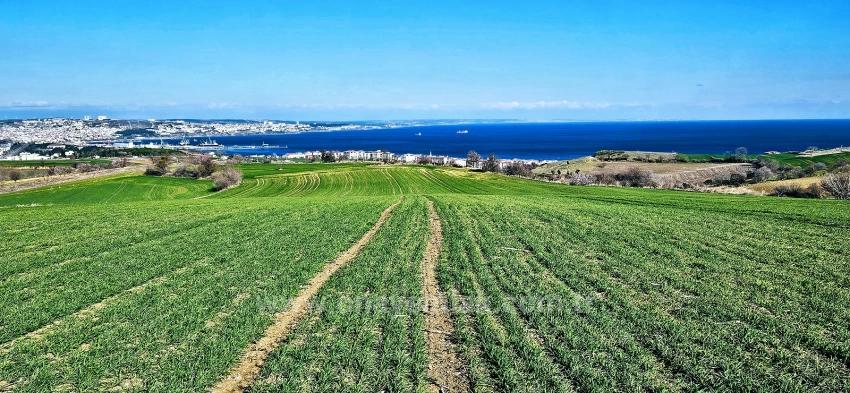 Terrain For sale in Barbaros Nbh. Süleymanpaşa Kumbağ - Housing Zoned - 19.533 m²