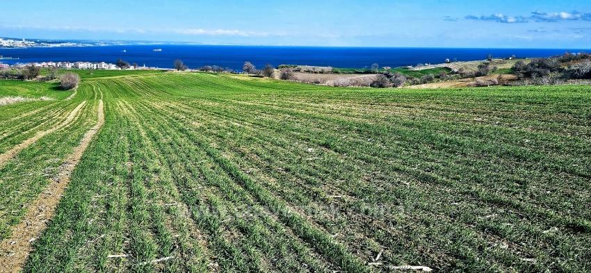 Terrain For sale in Barbaros Nbh. Süleymanpaşa Kumbağ - Housing Zoned - 19.533 m²