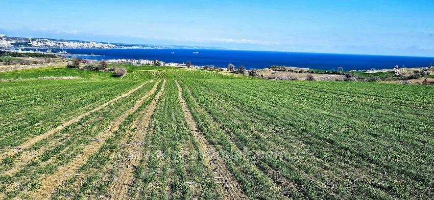 Land With Full Sea And Nature View Suitable For 75 Villa Projects In Tekirdağ Barbarosta