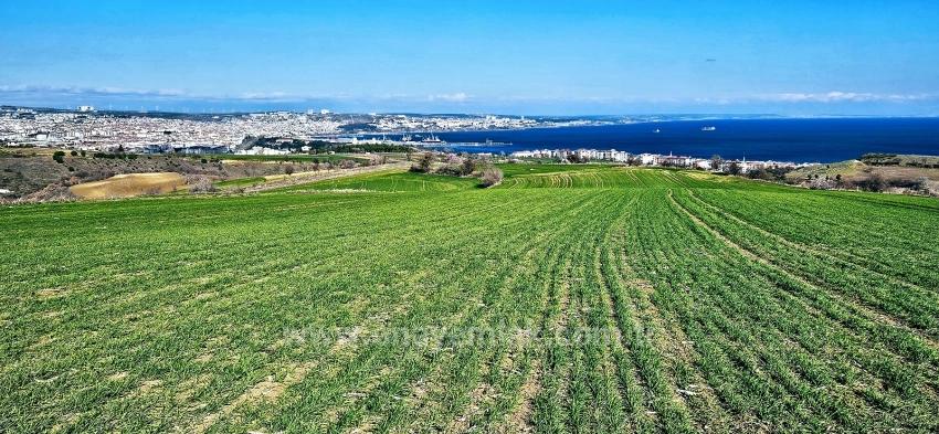 Land With Full Sea And Nature View Suitable For 75 Villa Projects In Tekirdağ Barbarosta