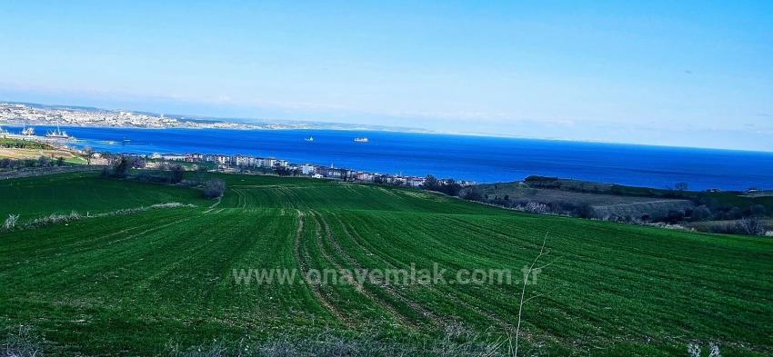 Land With Full Sea And Nature View Suitable For 75 Villa Projects In Tekirdağ Barbarosta