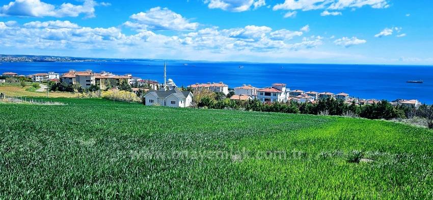 Possibility To Build 44 2+1 Flats With Full Sea View, Suitable For Cooperative And Site Construction