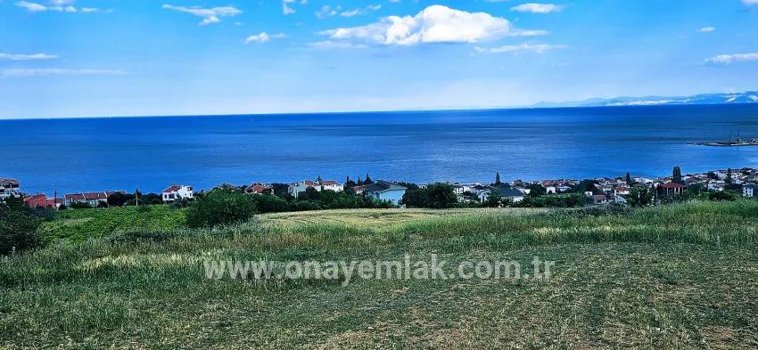 Terrain For sale in Barbaros Nbh. Süleymanpaşa Kumbağ - Housing Zoned - 6.100 m²