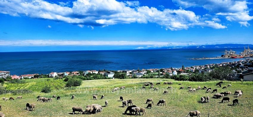 45 2+1 Apartments With Unique Full Sea And Nature Views, Suitable For Cooperative Projects