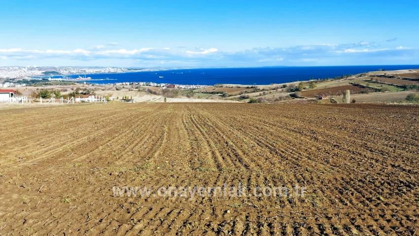 Terrain For sale in Barbaros Nbh. Süleymanpaşa Kumbağ - Villa Zoned - 6.350 m²