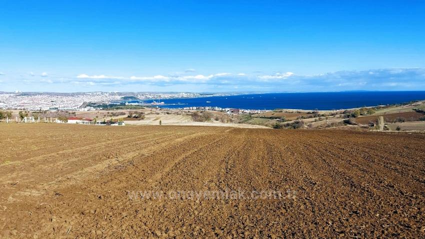 Land For Urgent Sale Suitable For 12 Villa Projects With Magnificent Sea And Nature Views