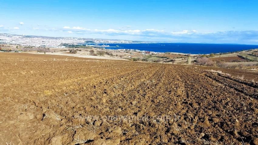 Land For Urgent Sale Suitable For 12 Villa Projects With Magnificent Sea And Nature Views