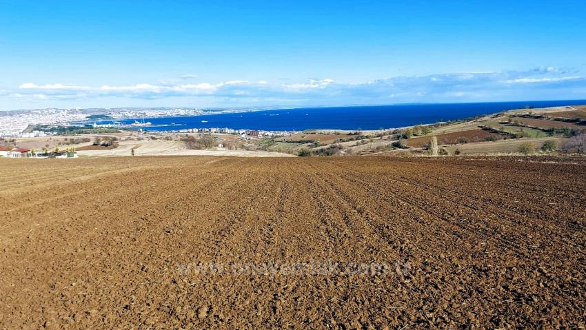 Land For Urgent Sale Suitable For 12 Villa Projects With Magnificent Sea And Nature Views