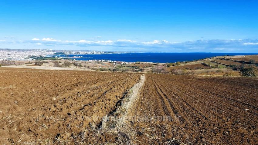 Land For Urgent Sale Suitable For 12 Villa Projects With Magnificent Sea And Nature Views