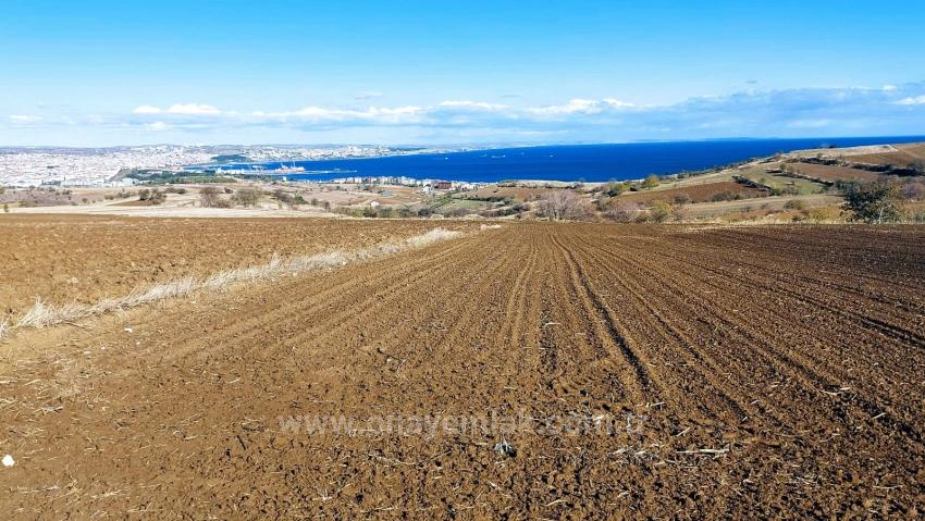 Land For Urgent Sale Suitable For 12 Villa Projects With Magnificent Sea And Nature Views