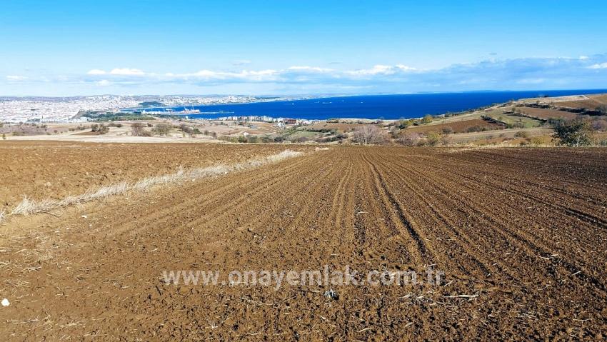 Terrain For sale in Barbaros Nbh. Süleymanpaşa Kumbağ - Villa Zoned - 6.350 m²