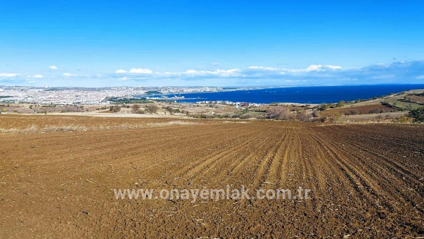 Terrain For sale in Barbaros Nbh. Süleymanpaşa Kumbağ - Villa Zoned - 6.350 m²