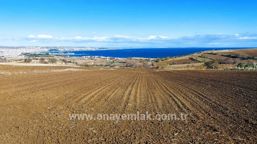 Terrain For sale in Barbaros Nbh. Süleymanpaşa Kumbağ - Villa Zoned - 6.350 m²
