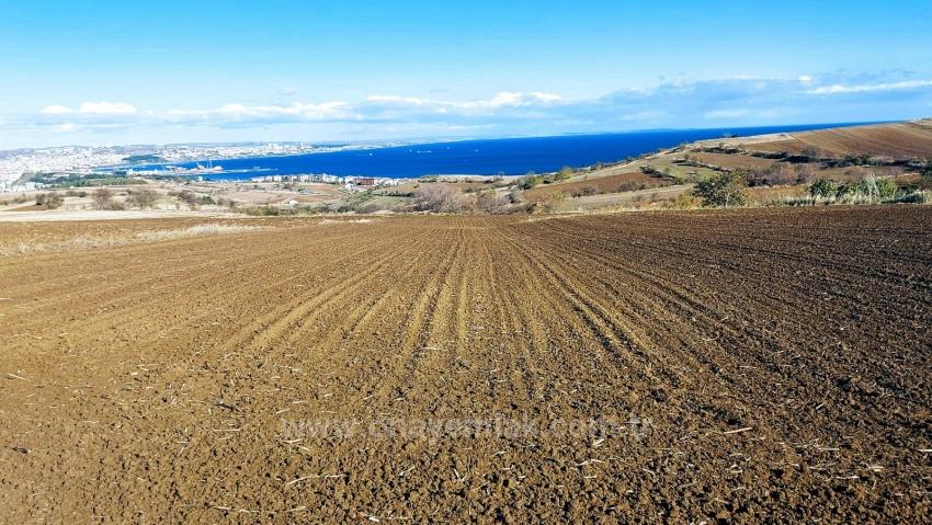 Land For Urgent Sale Suitable For 12 Villa Projects With Magnificent Sea And Nature Views
