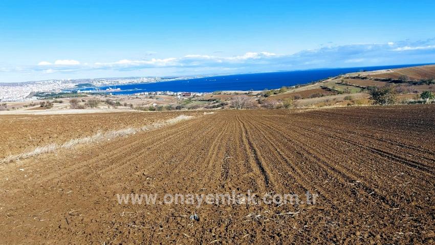 Terrain For sale in Barbaros Nbh. Süleymanpaşa Kumbağ - Villa Zoned - 6.350 m²