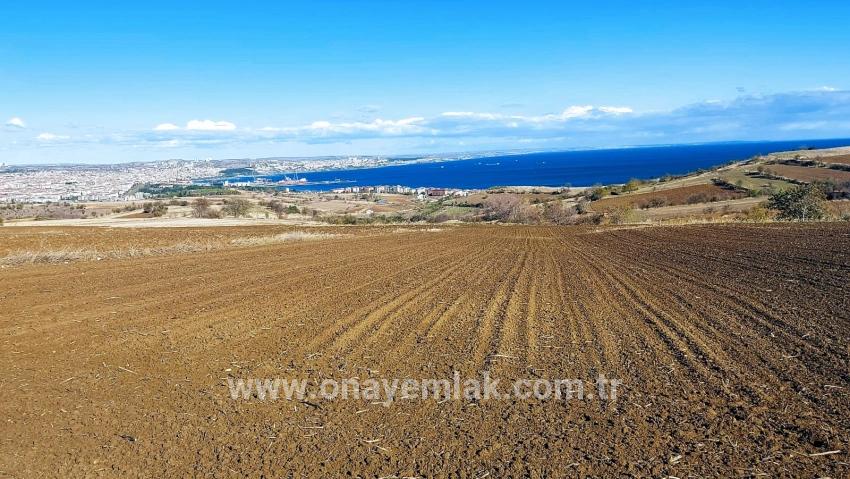 Terrain For sale in Barbaros Nbh. Süleymanpaşa Kumbağ - Villa Zoned - 6.350 m²