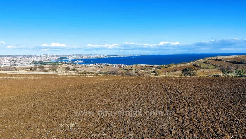 Land For Urgent Sale Suitable For 12 Villa Projects With Magnificent Sea And Nature Views