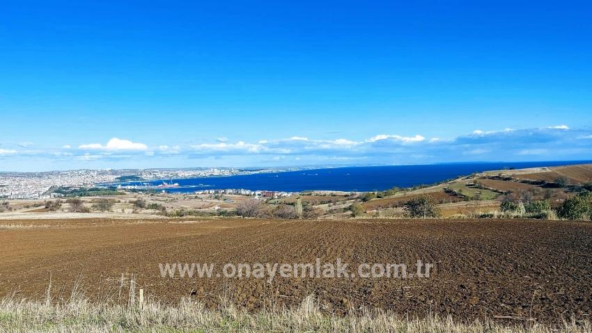 Terrain For sale in Barbaros Nbh. Süleymanpaşa Kumbağ - Villa Zoned - 6.350 m²