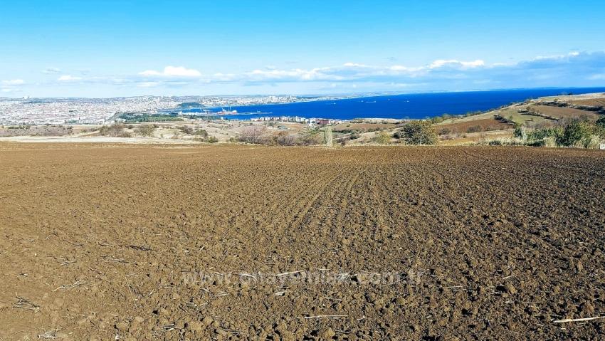 Land For Urgent Sale Suitable For 12 Villa Projects With Magnificent Sea And Nature Views