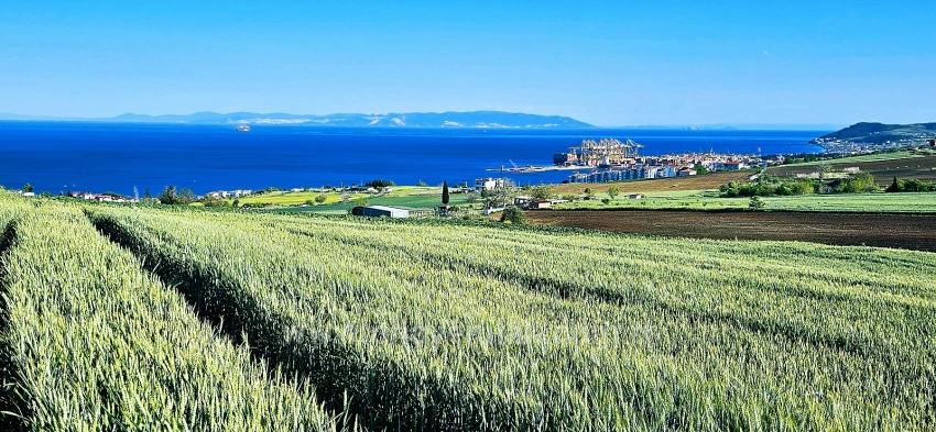 Land Suitable For Cooperative And Site Projects With 50 Apartments And Full Sea And Nature Views