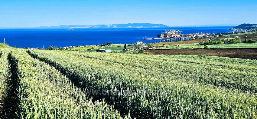 Land Suitable For Cooperative And Site Projects With 50 Apartments And Full Sea And Nature Views