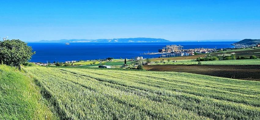 Land Suitable For Cooperative And Site Projects With 50 Apartments And Full Sea And Nature Views