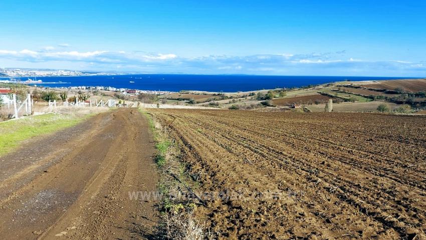 32 Luxury Villas With Great Sea, Nature And City Views, Opportunity Land Suitable For The Project