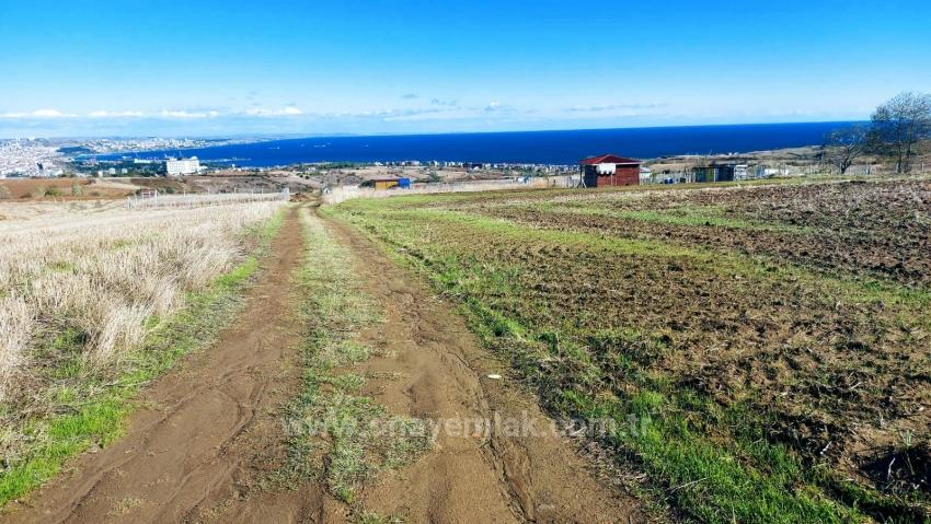 32 Luxury Villas With Great Sea, Nature And City Views, Opportunity Land Suitable For The Project