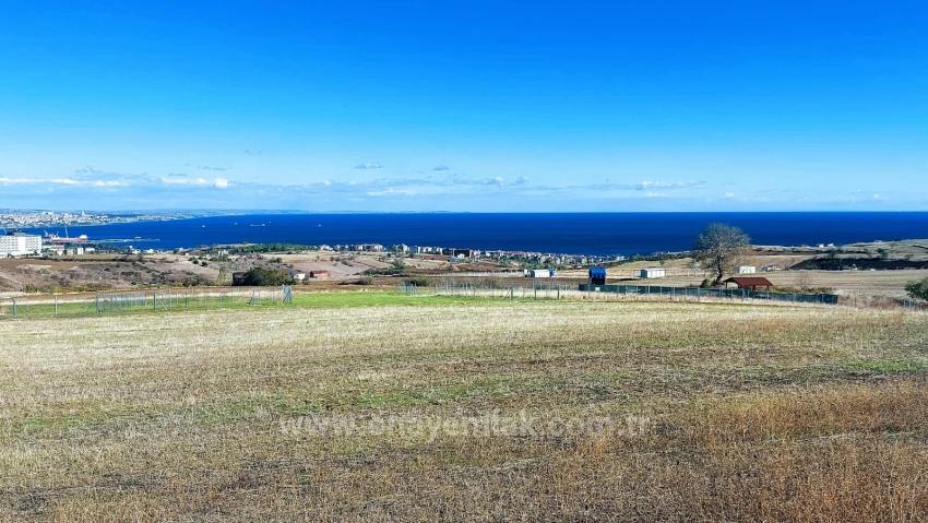 32 Luxury Villas With Great Sea, Nature And City Views, Opportunity Land Suitable For The Project