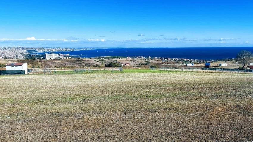 32 Luxury Villas With Great Sea, Nature And City Views, Opportunity Land Suitable For The Project