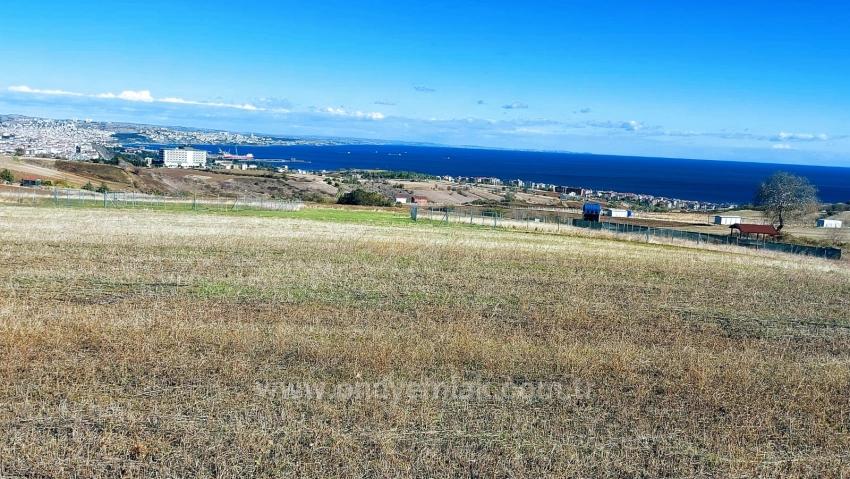 Apply Emergency Hourly Luxury Villa Project, Provide High Earnings, Completely Full Sea And Nature View