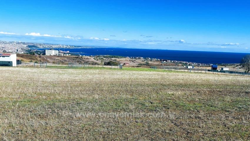 Apply Emergency Hourly Luxury Villa Project, Provide High Earnings, Completely Full Sea And Nature View