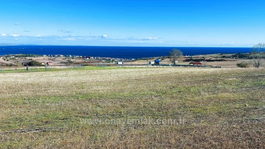 Apply Emergency Hourly Luxury Villa Project, Provide High Earnings, Completely Full Sea And Nature View