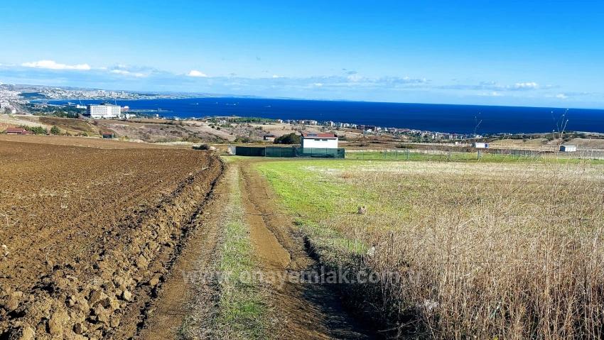 Apply Emergency Hourly Luxury Villa Project, Provide High Earnings, Completely Full Sea And Nature View