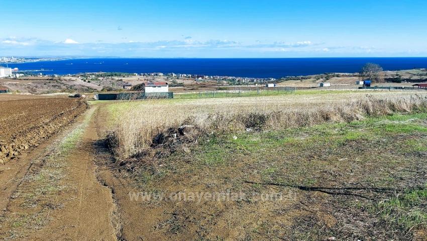 Apply Emergency Hourly Luxury Villa Project, Provide High Earnings, Completely Full Sea And Nature View