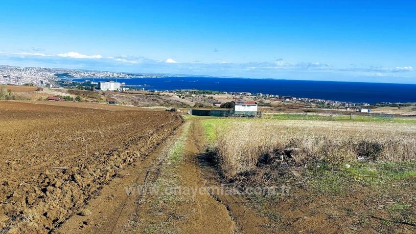 32 Luxury Villas With Great Sea, Nature And City Views, Opportunity Land Suitable For The Project